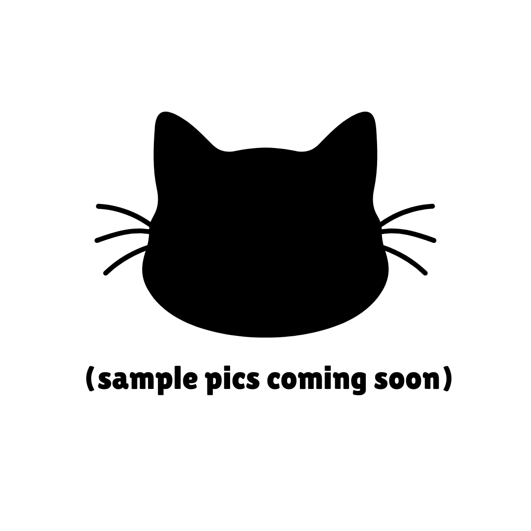 Cat head plushie workshop